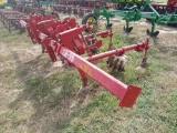 2-Row Vegetable Lilliston Row Crop Cultivator