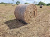 (50) Rolls of Hay (50 x's the $Money or Choice of Quanity)