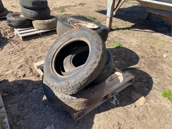 (6) Various Car Tires