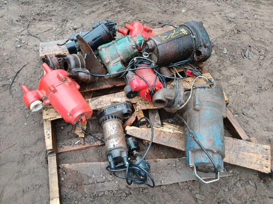 Pallet w/Variety Transfer Pumps