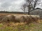 62 BALES 27 WHEAT HAY  62 x $, NET WRAP, BUYER TO LOAD - MS RUBYS