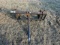 HAY SPEAR.  FITS JD 7230