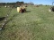 300-GAL SPRAYER, HYD BOOMS