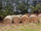 4 X 5 GRASS HAY, NET WRAP, BUYER TO LOAD - CUNNIHAM FARM