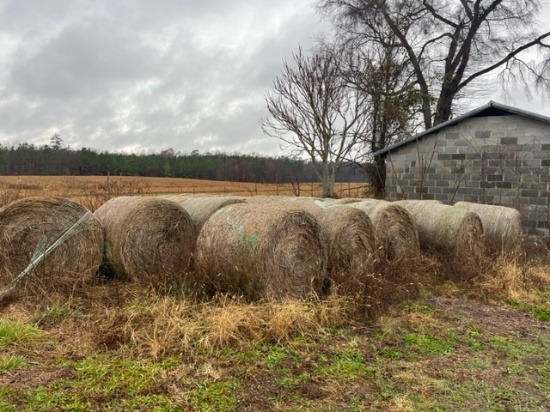 62 BALES 27 WHEAT HAY  62 x $, NET WRAP, BUYER TO LOAD - MS RUBYS