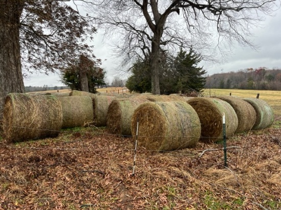 4 X 5 GRASS HAY, NET WRAP, BUYER TO LOAD - IN PASTURE
