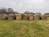4 X 5 GRASS HAY, NET WRAP, BUYER TO LOAD