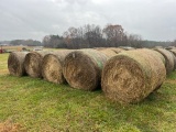 4 X 5 GRASS HAY, NET WRAP, BUYER TO LOAD