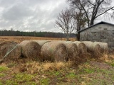 62 BALES 27 WHEAT HAY  62 x $, NET WRAP, BUYER TO LOAD - MS RUBYS