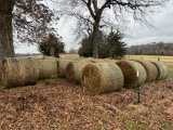 4 X 5 GRASS HAY, NET WRAP, BUYER TO LOAD - IN PASTURE