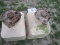 (2) IH HOPPERS