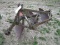 MF 3B PLOW