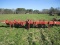 BINGHAM BROTHERS 4-ROW ROLLING CULTIVATOR