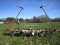LILLISTON 4 ROW RIPPER BEDDER