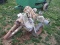 LONG PTO PUMP, 1000 PTO