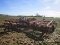 CASE-IH 3900 60-BLADE, WING FOLD DISC, 9” SPACING, 21’