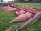 CASE-IH 1054 8 ROW CORN HEAD, 38