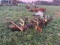 KMC 2 ROW CULTIVATOR