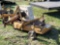 WOODS R372-1 FINISHING MOWER