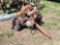 HALE PTO IRRIGATION PUMP