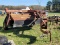 NEW HOLLAND 408 DISCBINE