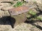 ANTIQUE ANVIL