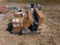 PALLET OF VENT PIPE MATERIALS