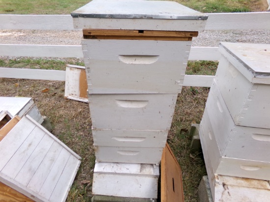 BEE BOXES