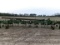 JD 845 8 ROW DANISH TINE CULTIVATOR