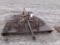 6' ROTARY CUTTER