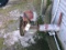 6” UNLOADING HEAD W/ MOTOR