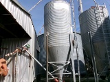FEED TANK & APPX 12' AUGER