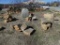 LANDSCAPE ROCK