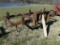 7-TINE CHISEL PLOW