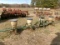 JD 71 4R PLANTER