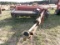 HESSTON 1050 DISCBINE