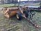 SOILMOVER PAN