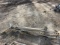 NELSON 100 GUN