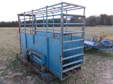 CATTLE SCALES