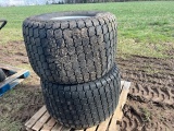 TURF TIRES AND RIMS