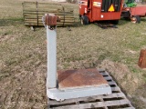 PLATFORM SCALES