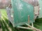 TOBACCO TRAILER