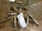 6 VISE GRIP WELDING CLAMPS