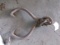 LOG TONGS