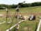 RAINBIRD 100 GUN