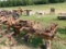 4 ROW DANISH TINE CULTIVATOR