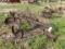HORSE DRAWN 2B PLOW