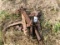 CULTIVATOR PARTS