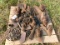 CULTIVATOR PARTS