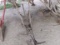 HORSE DRAWN CULTIVATOR